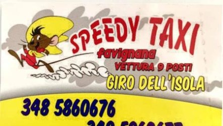 Speedy Taxi